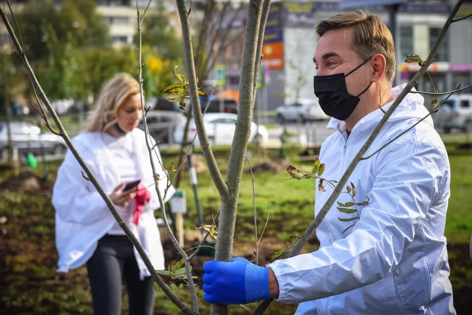 Наш лес. Посади своё дерево